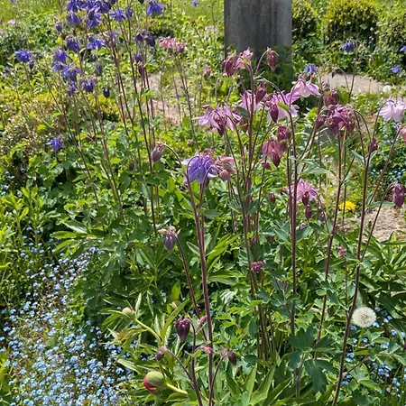 Traumgarten Allgaeu * רטנברג