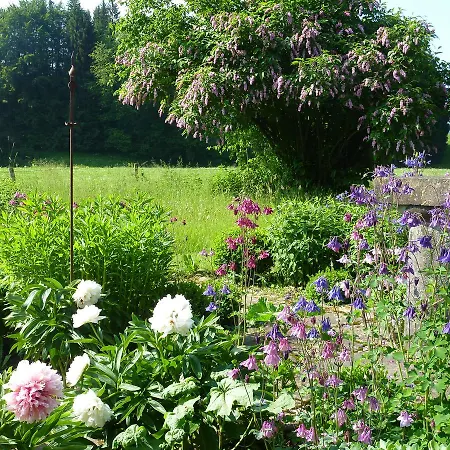 Traumgarten Allgaeu * רטנברג